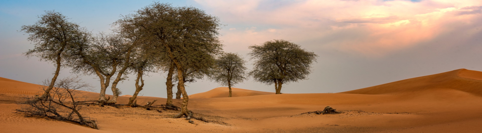 UAE